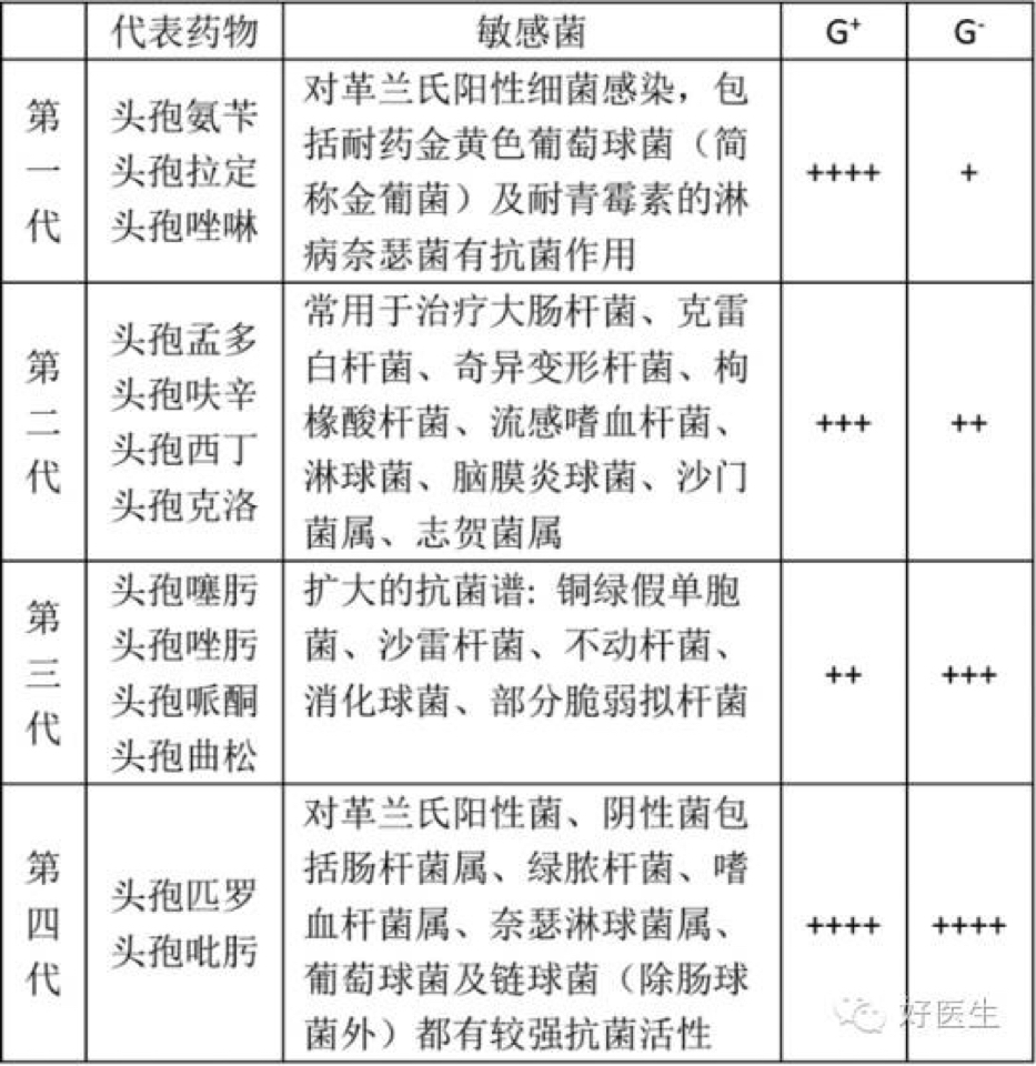 头孢噻吩钠，抗菌战场的老牌英雄头孢噻吩钠使用说明