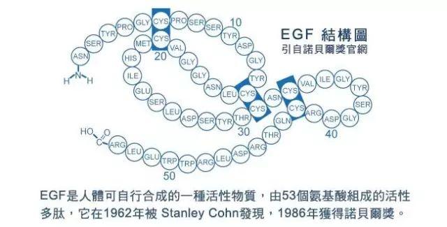 氟胞嘧啶，从基础到应用的全面解析氟胞嘧啶的功效与作用