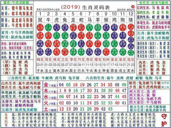 探索马报资料的奥秘，解码历史与文化的独特视角马报资料图今天