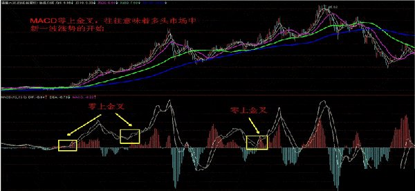 3D和值尾走势图带连线图专业版，深度解析与实战应用3d和值尾走势图带连线图专业版完整版