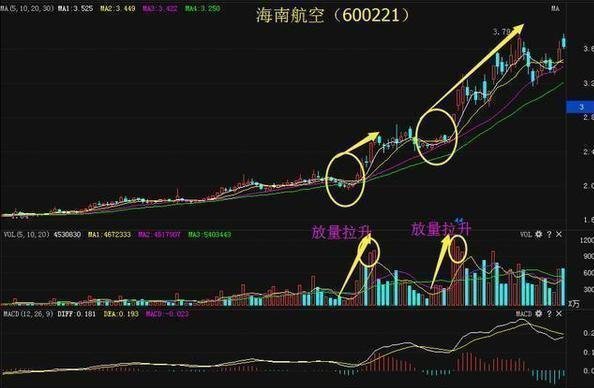 探索股市新视角，排列五个位振幅走势图在3D之家的深度解析排列五个位振幅走势图3d之家近50期