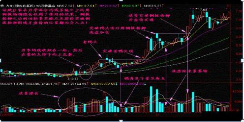 专业视角下的三D走势图带连线，解锁数据背后的秘密三d走势图带连线专业版1000期