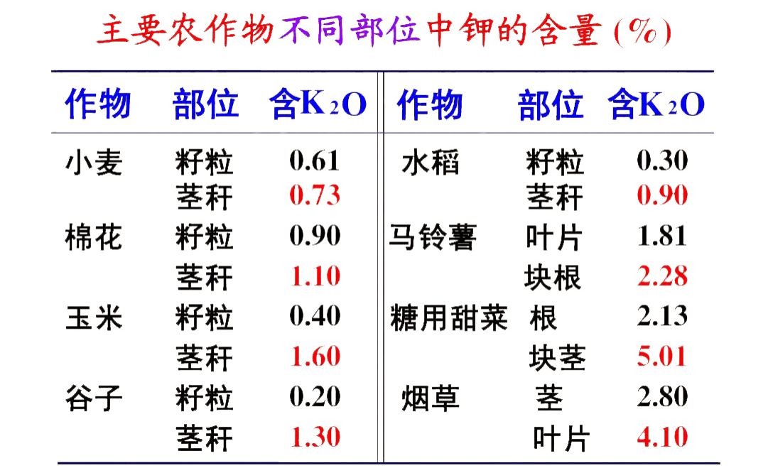 3D牛彩网字谜，一场数字与智慧的奇妙探险3d牛彩网字谜图谜大全