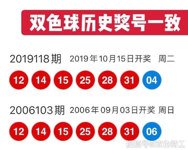 探索2019年双色球历史开奖号码，揭秘数字背后的奥秘2019双色球历史开奖号码查询结果