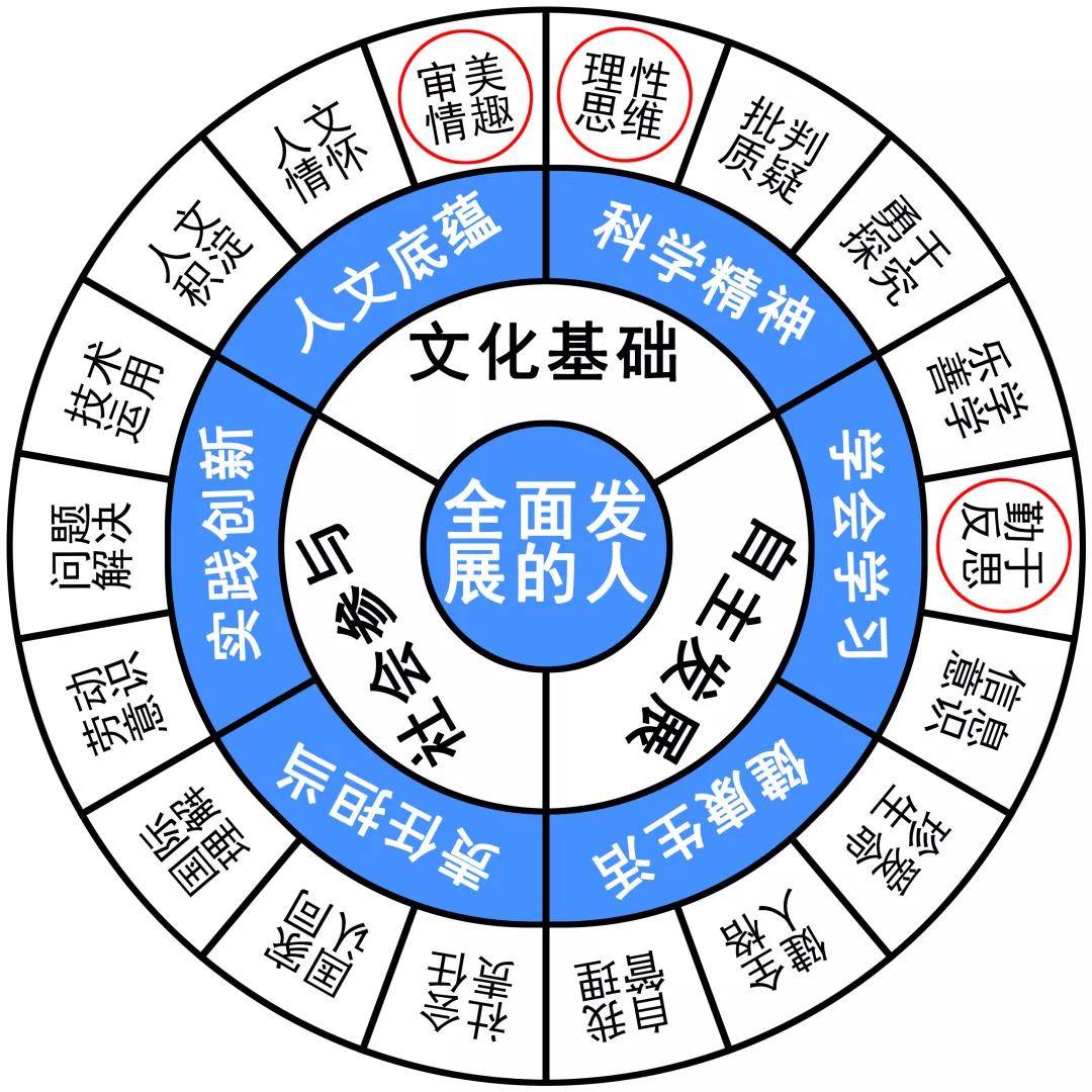 探索双色球预测迷图，高清图解与理性分析双色球预测迷图最新