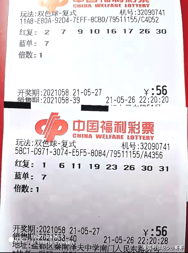 2019060期双色球开奖揭晓，梦想与幸运的碰撞双色球2019060期开奖结果查询