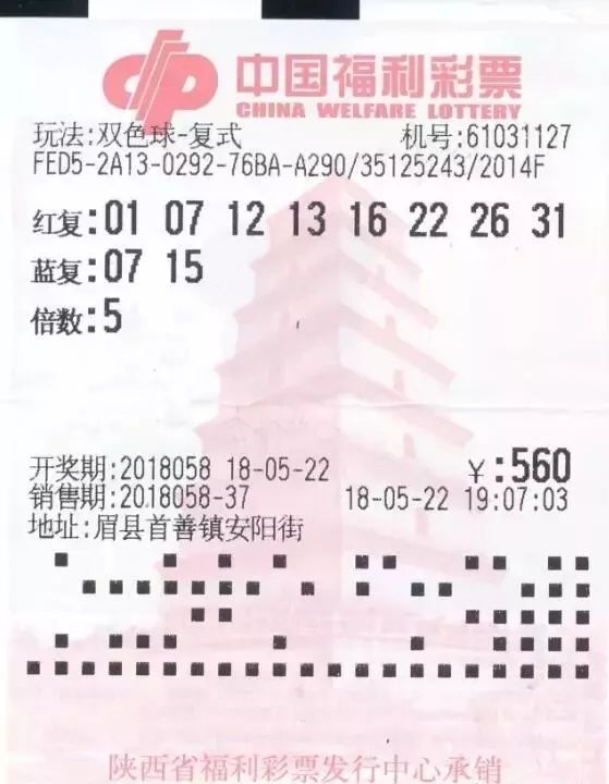 2021年双色球119期开奖结果揭晓，幸运数字背后的故事与期待2021双色球119期开奖号码结果