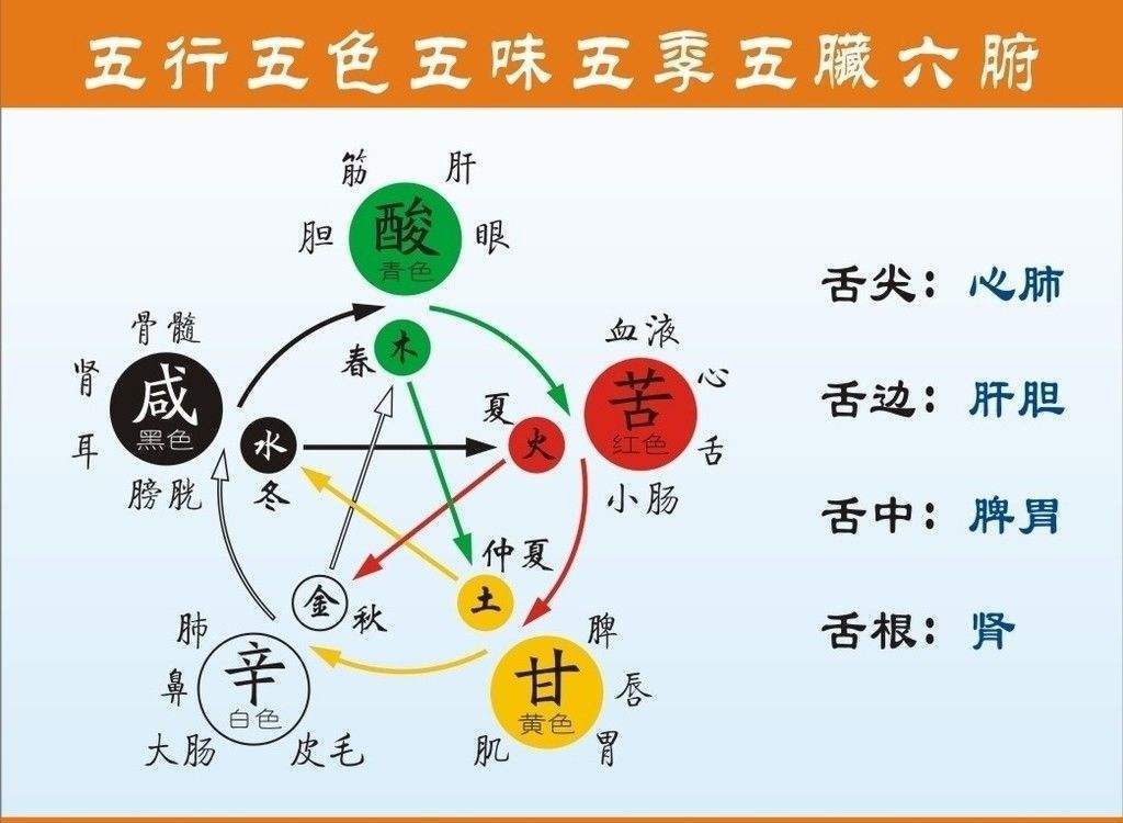 今晚排列五，揭秘数字背后的奥秘与期待今天晚上排列五开出什么号码查询