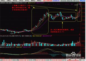 掌握股票基本知识，从入门到进阶的全面指南新手怎么看懂股票