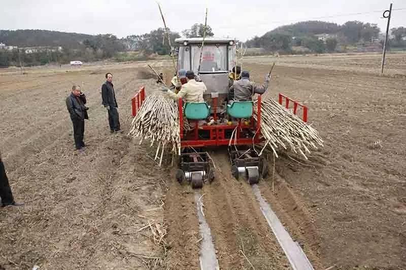 体育彩票开奖日期查询，解锁幸运的钥匙
