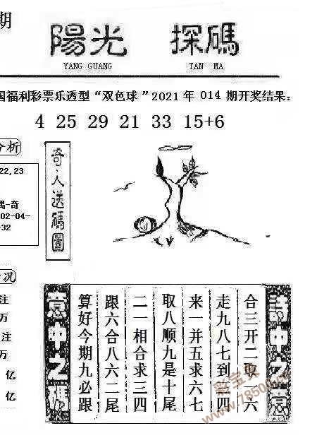 探秘双色球2021017，阳光下的数字奥秘双色球2021017阳光探码图