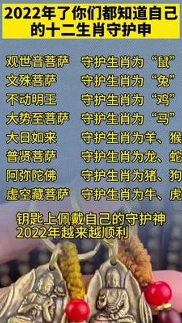 探索一码与生肖文化的奇妙融合,解码传统智慧的新篇章一码一肖一特一中2025
