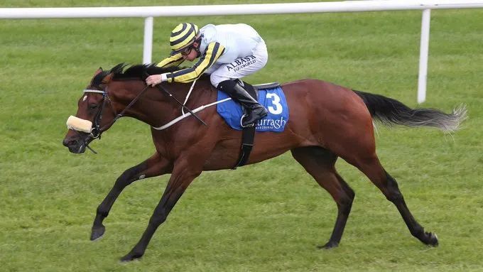 2019年香港马会开奖记录与结果回顾2019年香港码开奖记录