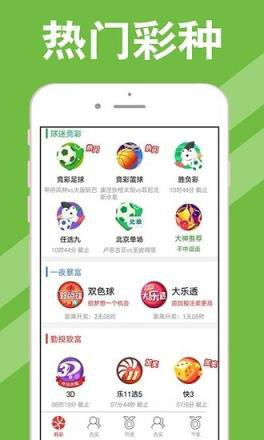 澳门今期开奖结果查询,揭秘新澳门的幸运时刻新澳门今期开奖结果查询网页