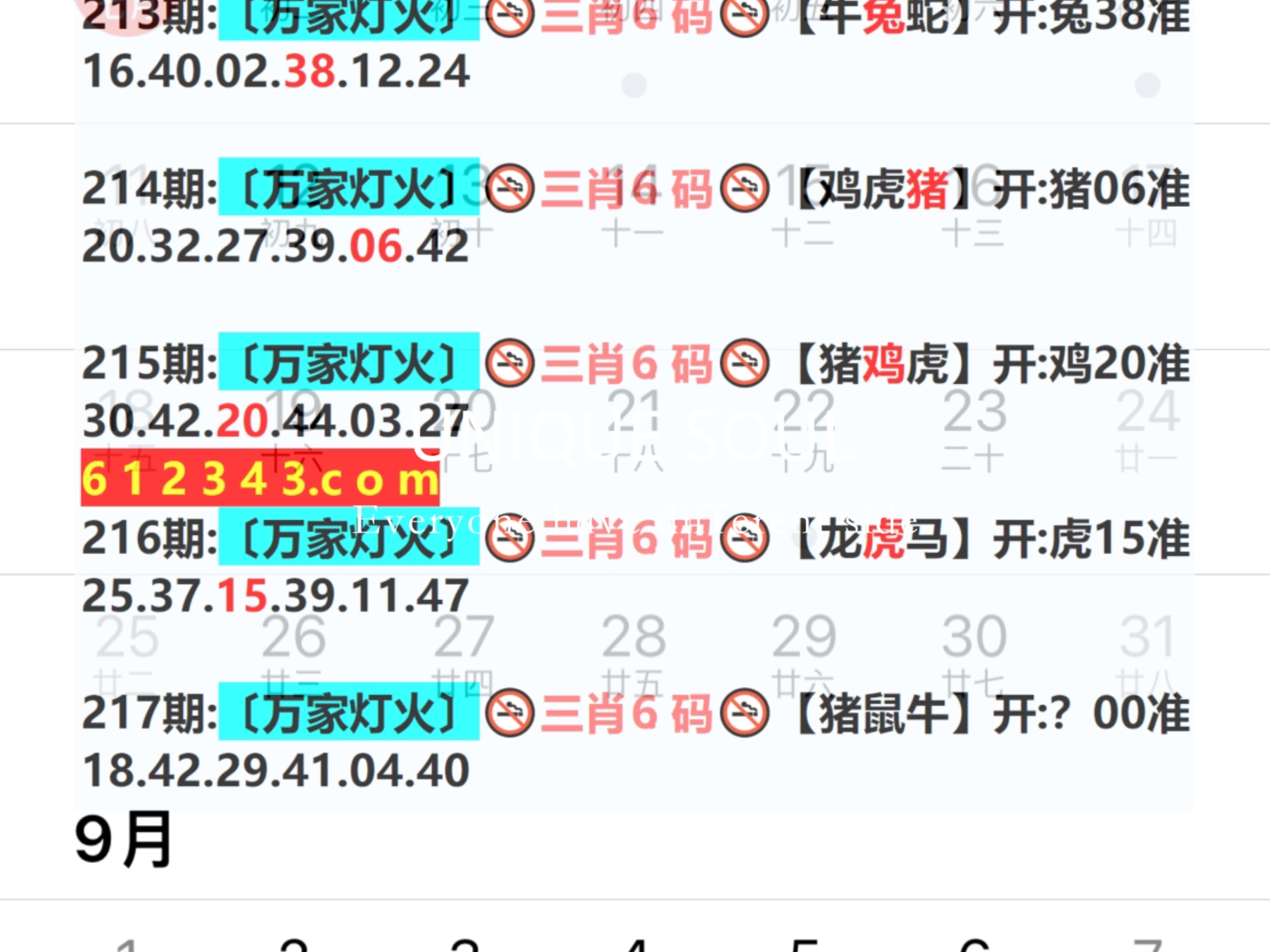 蓝月亮四肖八码精选资料，揭秘精准预测的背后蓝月亮四肖八码精选资料一首页