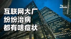 澳门精准免费大全,揭秘9624与凤凰网背后的真相4949澳门精准免费大全凤凰网9626指鸡骂狗是什么生肖