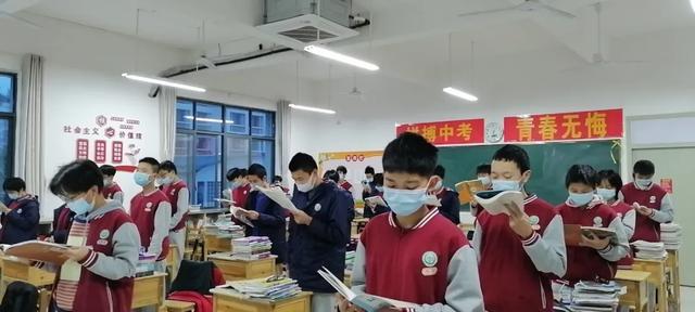 免费公开的二四六资料大全,解锁知识宝库,共享智慧资源二四六资料大全免费公开1一150