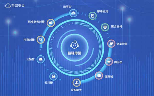 2036年,管家婆精准免费大全的未来展望2021年管家婆最准的资枓