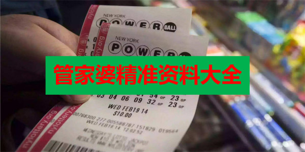 澳门管家婆资料正版大全，揭秘背后的真相与风险警示