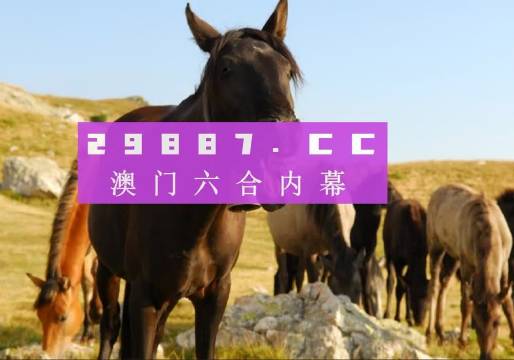 2046年，管家婆的马资料—未来赛马的科技与人文融合管家婆24马精选