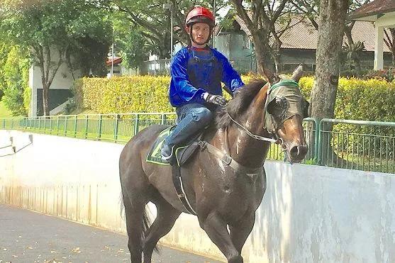 2019香港马会资料大全，免费资源与精彩赛事的全面指南香港2021年马会资料大全