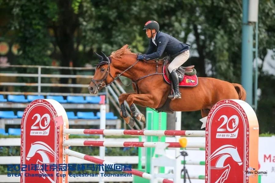 2019香港马会资料大全，免费资源与精彩赛事的全面指南香港2021年马会资料大全