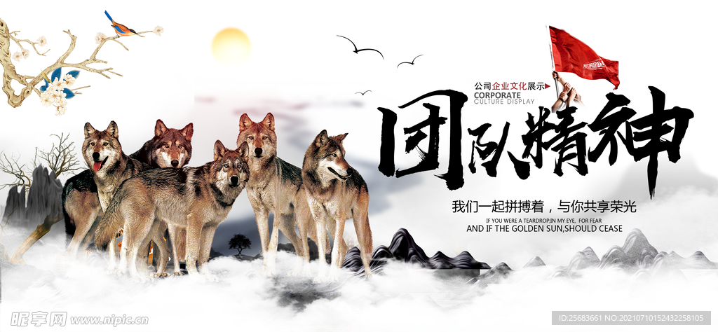 广西的狼性精神，探秘精英主论坛的力量广西的狼精英主论坛12366