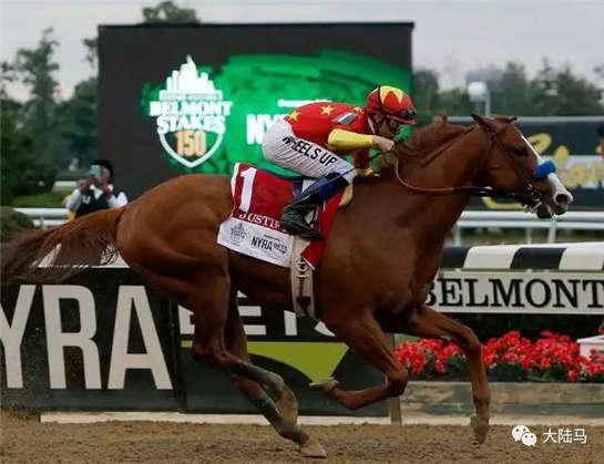 探索香港赛马文化，全面解析2019年香港馬資料大資料大全香港马资料免费大公开