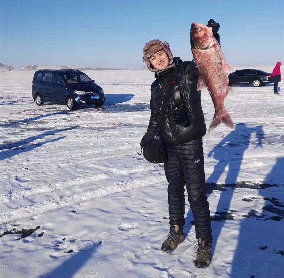 探寻小鱼儿心水论坛，网络社区的独特魅力与影响小鱼儿心小鱼儿心水高手论坛
