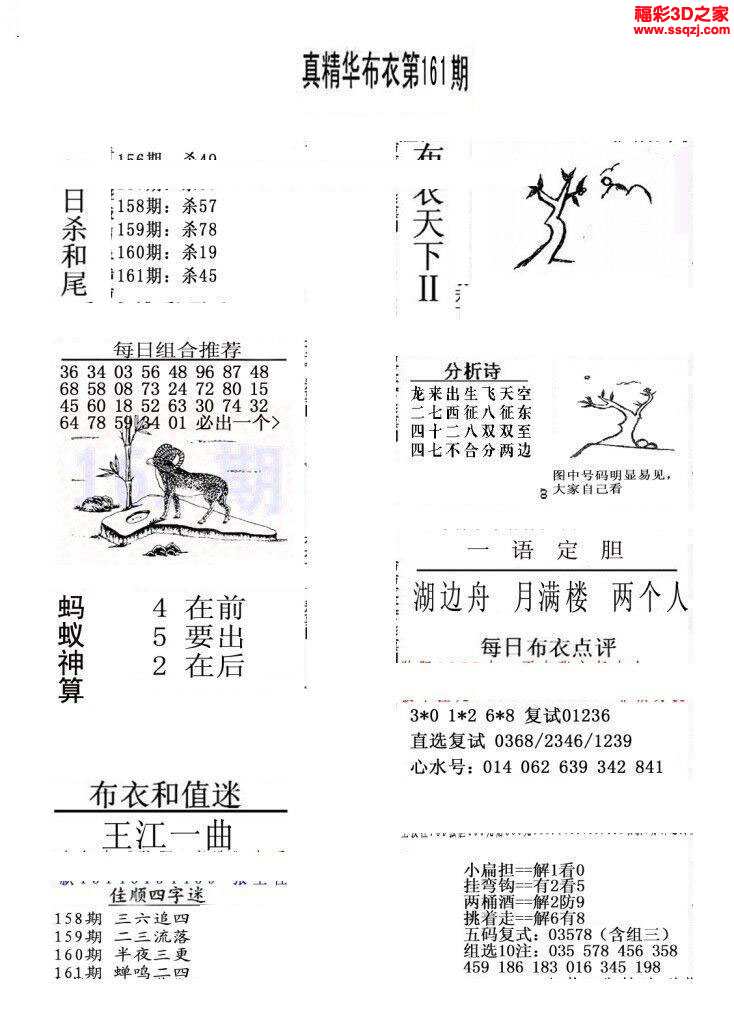 真精华布衣，正版今天推荐号码的智慧之选真精华布衣天下正版今天推荐号码和值