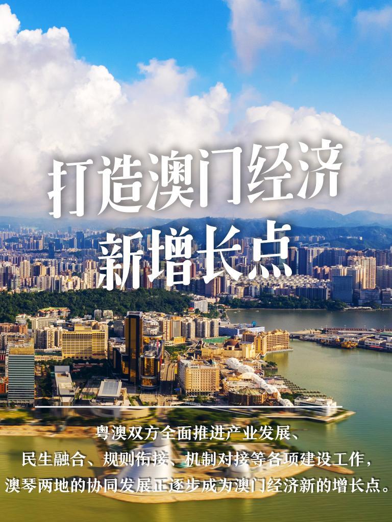 澳门资料大全，探索东方拉斯维加斯的多元魅力2025年正版资料免费大全