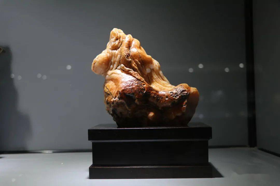 澳门网站免费资料，解锁文化与旅游的宝藏打开澳门网站免费资料大全一