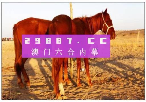 澳门六开彩，揭秘背后的真相与理性对待2025澳门开奖结果查询