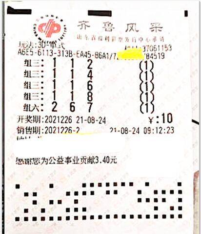探索新澳天天开奖资料大全105，揭秘彩票背后的数字游戏与理性态度新澳天天开奖资料大全1052期开奖结果是什么