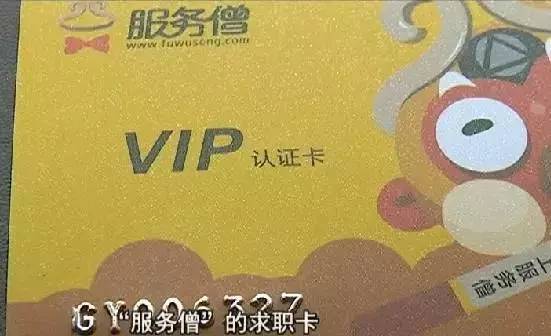 今晚特马揭秘，探索彩票背后的奥秘与乐趣今晚开什么特马马资料免费