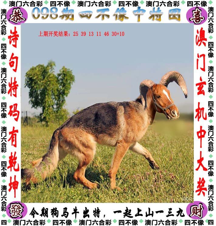 今日特马图四不像，探索数字时代的预测与不确定性全年资料免费大全