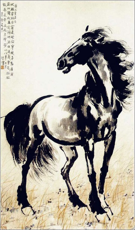 今晚特马图，揭秘神秘数字背后的奇幻之旅今晚特马图资料下生肖