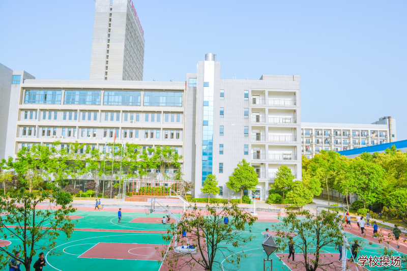 免费公立职业学校的崛起,重塑教育与就业的桥梁株洲市免费公立职业学校