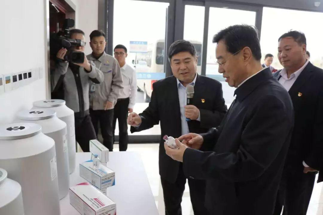 齐鲁制药最新招聘，共筑健康未来，诚邀英才加盟齐鲁制药最新招聘公告