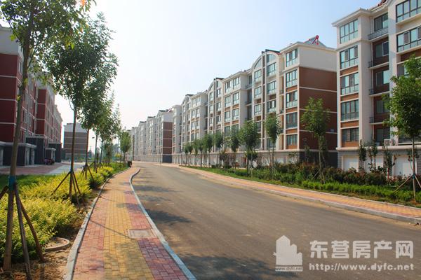 黄河口信息港，数字浪潮中的绿色航标黄河口信息港二手房出售