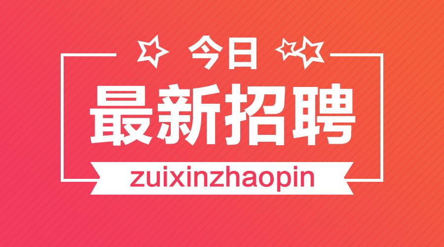 河北省事业单位招聘，开启职业新篇章的黄金机遇河北省事业单位招聘公告2025