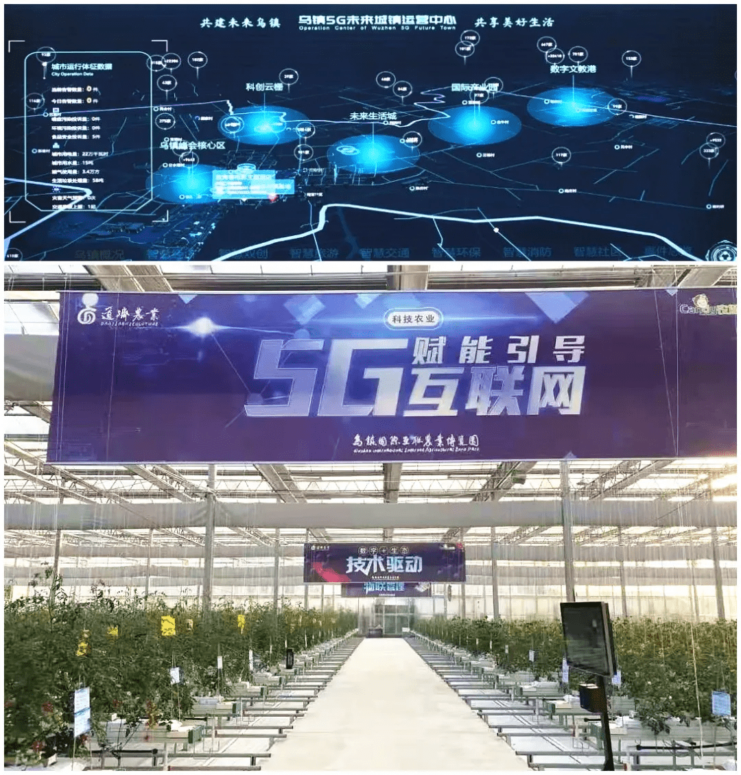 嘉兴人才网