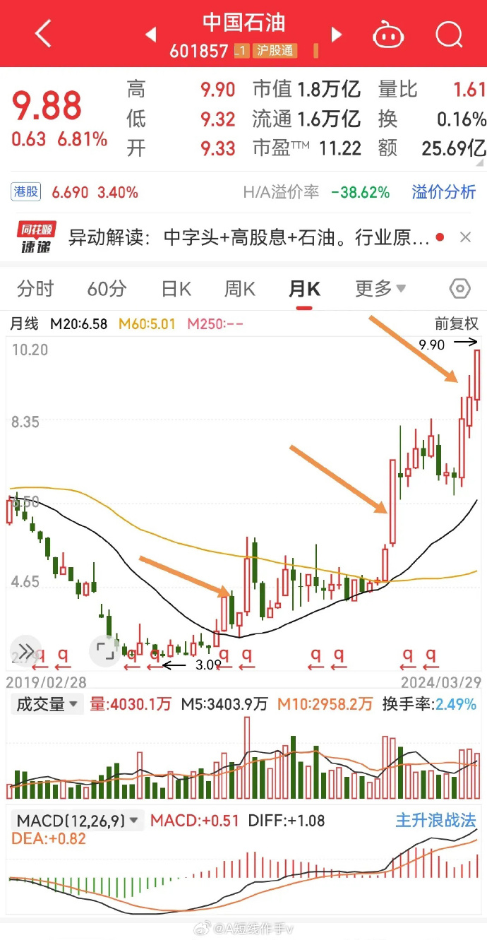 探秘中石化股票，中国能源巨擘的资本之旅中石化股票分红