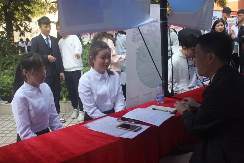 大学生招聘会，青春启航的职场舞台大学生招聘会现场