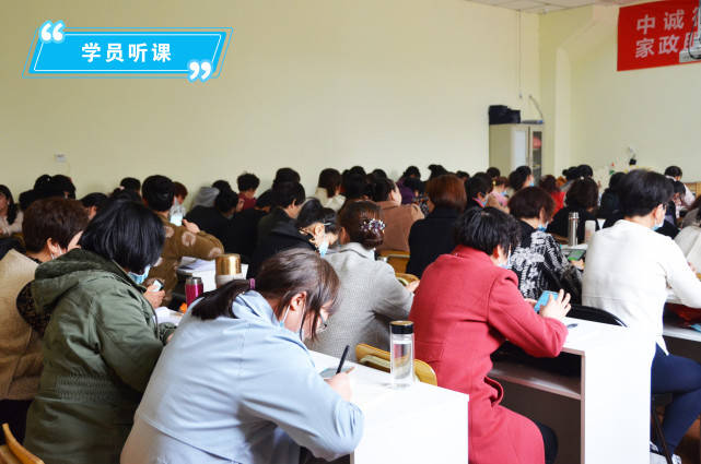 免费加盟家政公司，开启创业新篇章的智慧之选免费加盟家政公司有哪些品牌