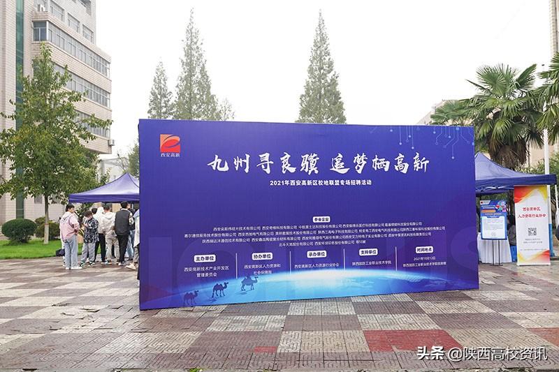 人力资源管理与服务网，构建企业高效运营的桥梁人力资源管理与服务网官网