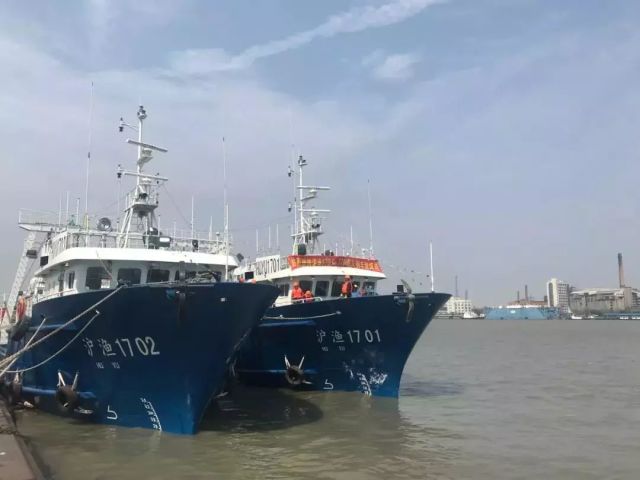船务公司招聘启事，扬帆远航，共筑梦想船务公司船员招聘信息是不是真的