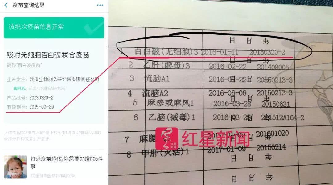 全国物流查询入口，一站式解决您的货物追踪需求全国物流查询入口手机号