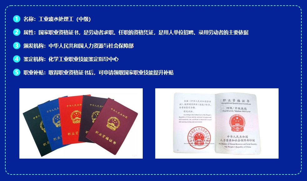 探索职业认证新路径，国家职业资格证书网站全解析国家职业资格证书网站官网