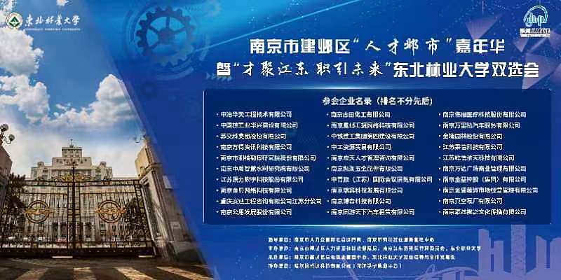 江苏南京人才网官网，汇聚智慧，共筑未来江苏省南京人才网官网